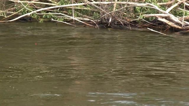 «Белые» секреты | Отпуск на Волге | Токио - Волгоград смотреть онлайн