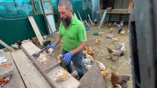 stragonina смотреть онлайн