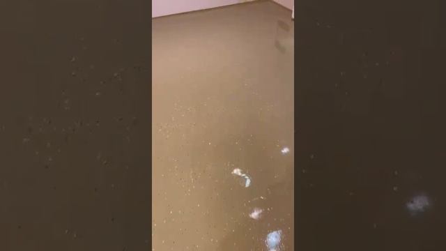 Finlux - наливной пол за 24 часа! от 149 руб за кв.м Бежевый пол полиуретановый F-2040 смотреть онлайн