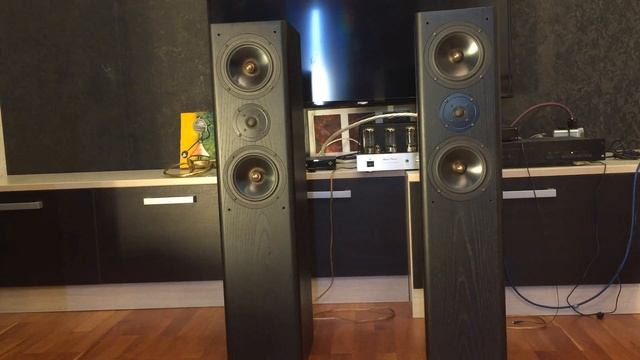 ОБЗОР акустической системы ASW CANTIUS V смотреть онлайн