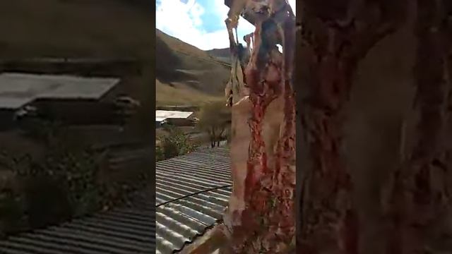 Горное сушёное мясо Дагестан смотреть онлайн