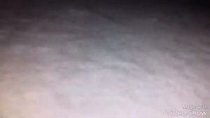 я весёлый таракан я бегу бегу бегу