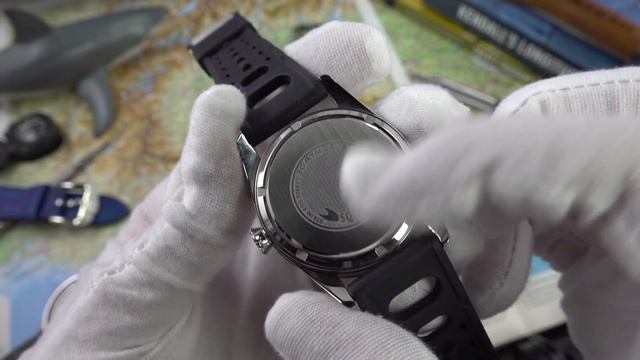 My NEW Favorite Watch & Best Swiss Diver Around $1000: Squale SUB-39mm