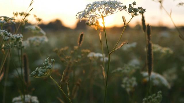 Строительные Рецепты