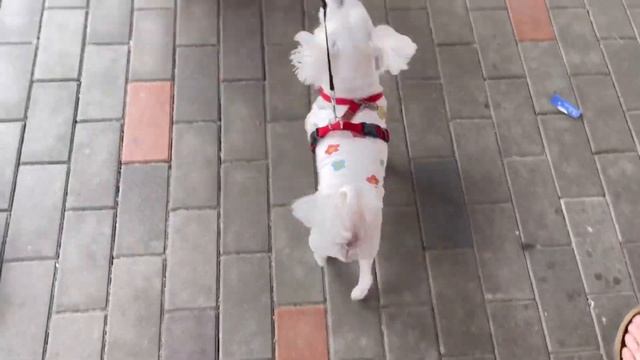 КОРЕЙСКАЯ ДЕРЕВНЯ Чонсон в гостях у корейской бабушки Путешествие на машине по ЮЖНОЙ КОРЕЕ смотреть онлайн