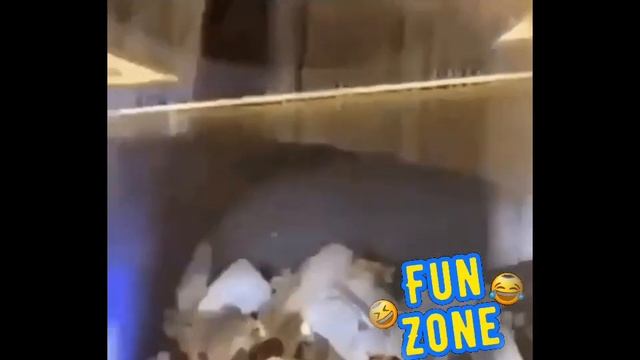 Как поймать свадебный букет! - FunZone_online смотреть онлайн
