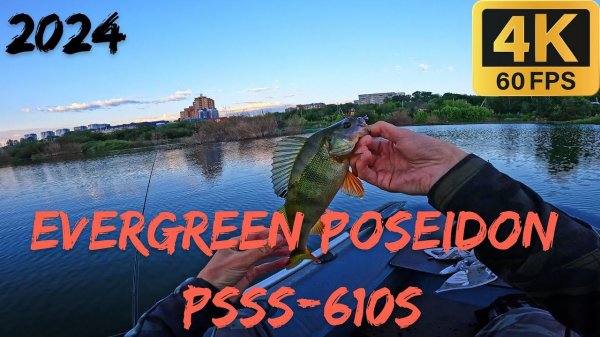 Рыбалка на EverGreen Poseidon Salty Sensation PSSS-610S Limber Tip.
