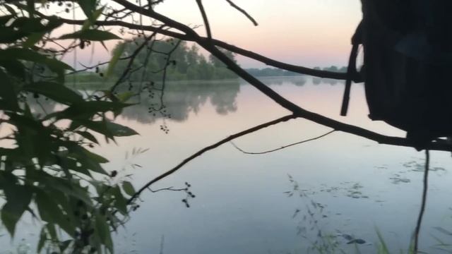 Рыбалка с ночёвкой. Ловим сома, леща. Донки. Ночной гость Х. Шикарный клев леща. смотреть онлайн