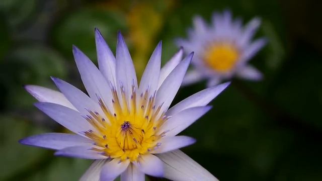 【Panasonic GF5】FULL HD 實拍A @MOBILE01 смотреть онлайн