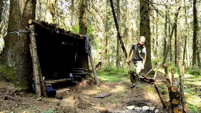 БУШКРАФТ .ОБУСТРОЙСТВО ЛАГЕРЯ В ЛЕСУ .ЛЕСНОЕ УКРЫТИЕ Ч.2 / Bushcraft. Forest shelter смотреть онлайн