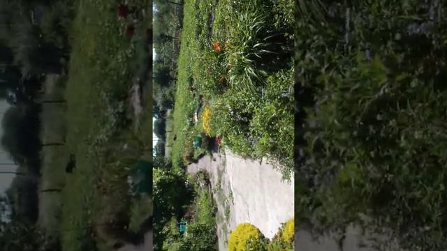 Чудо на даче смотреть онлайн