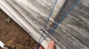 устройство дуг для клубники.