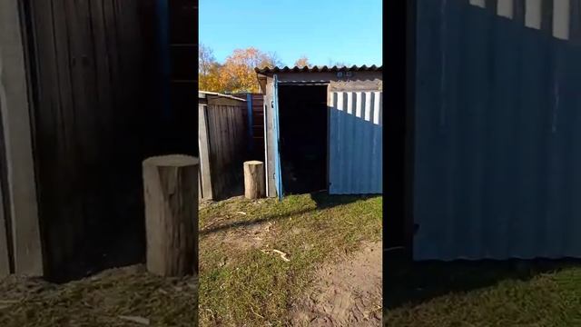 Утро ? Морозик ❄ Подготовка к верщению дров смотреть онлайн