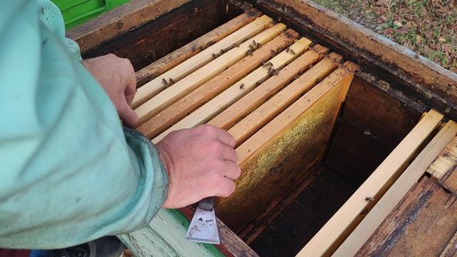 Формировать пчёл можно и в ноябре ПЧЕЛЫ ДОСТАТОЧНО И МЁДА ТОЖЕ и не нужны не какие изоляторы ☝️✅? смотреть онлайн