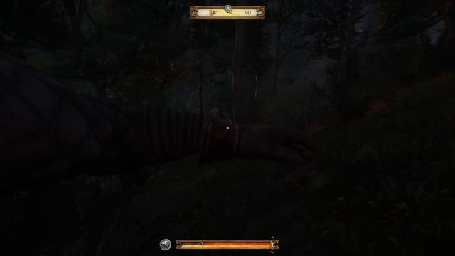 Let's Play Kingdom Come Deliverance #72: Eine harte Nacht (Tag 43 / deutsch) смотреть онлайн