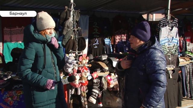 Барнаульцев снова пугают бездомные собаки. Куда обращаться, если напала стая? смотреть онлайн