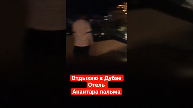 ОАЭ 🇦🇪 Отель Анантара Пальма смотреть онлайн
