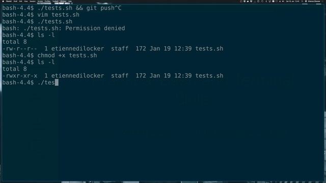 Learn about scripts, functions, chmod and set -e | #2 Practical Bash смотреть онлайн