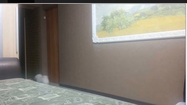 Одновременная работа IP Webcam и KaScada смотреть онлайн