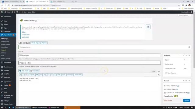 Popup Maker WordPress Plugin 2021 смотреть онлайн