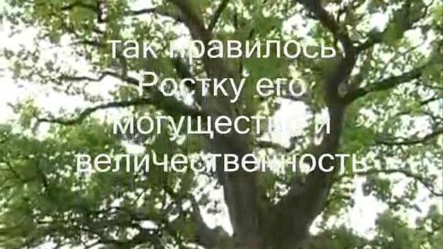 Притча о Ростке смотреть онлайн