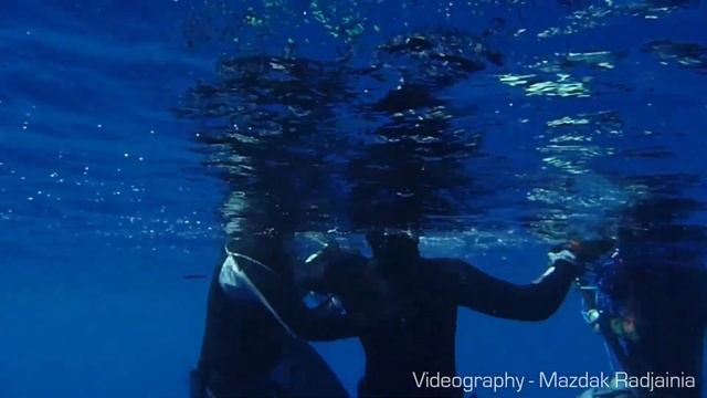 How To Increase Your Breath Hold For Spearfishing - HOW TO SPEARFISH смотреть онлайн