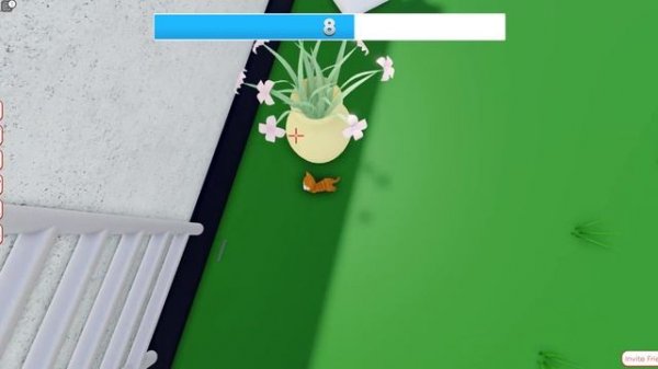 TOP 5 ROBLOX CAT GAMES