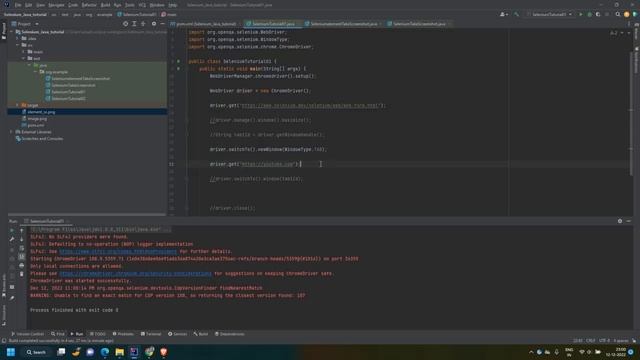 Selenium Full Course using Java | Take Screenshot | Handle Tabs | Part 3 | смотреть онлайн