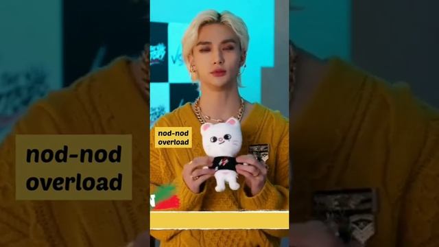 SKZOO with Their Hyungs #skzoo #straykids #skz смотреть онлайн