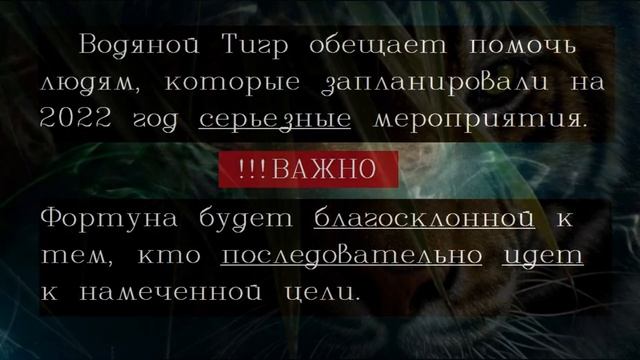 2022 год гороскоп/Каким будет 2022 год - год какого животного и что нас ждет смотреть онлайн