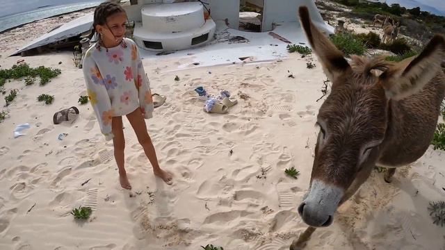 MEET OUR NEW PET | TEENAGE BOY GETS ATTACKED BY AN ISLAND PET смотреть онлайн