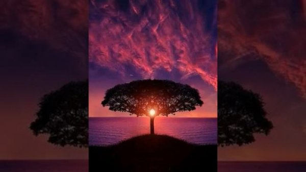 IVAN VALEEV - NOVELLA