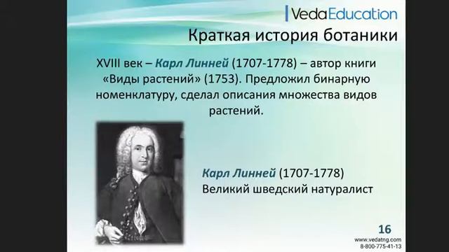 Онлайн-курс "Основы физиологии растений". Качкин К.В. смотреть онлайн
