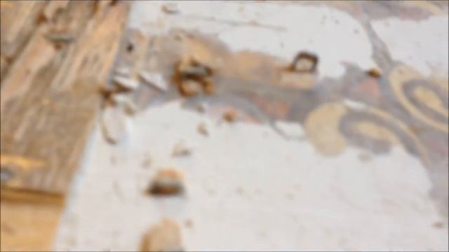 Our Kitchen Renovation Part V Removing Linoleum смотреть онлайн