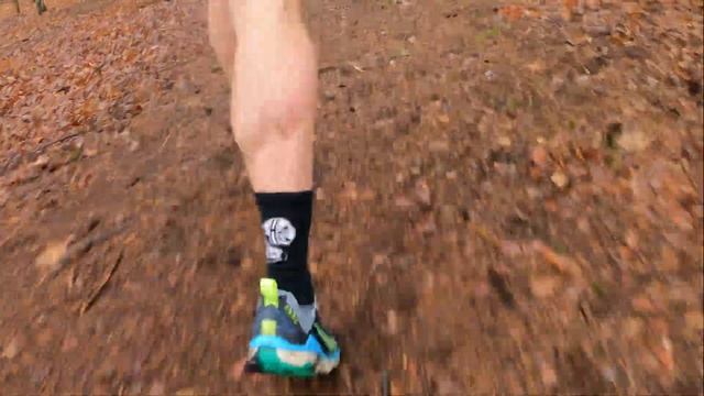 N I K E W I L D H O R S E 8 (improved grip and feel) #niketrail #wildhorse8 #runner #running смотреть онлайн