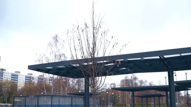 О компании Полив Сервис - установка систем автополива газона