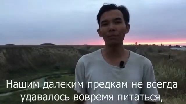 Почему жирная еда всегда вкуснее? смотреть онлайн