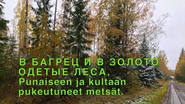 38. Op. Runo: " Syksy" . A.S. Pushkin.1833 смотреть онлайн