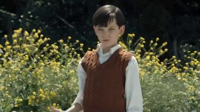 "Мальчик в полосатой пижаме". Автор Джон Бойн смотреть онлайн