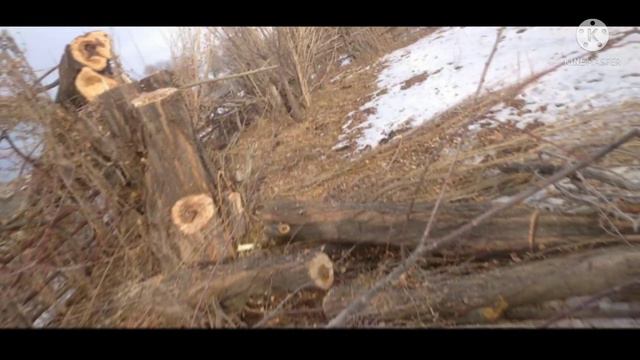 1 февраля 2022 г. смотреть онлайн
