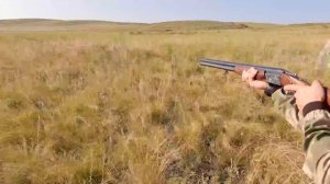 ОХОТА НА СУРКА С ГЛАДКОСТВОЛОМ - ТОЗ-34 РУЛИТ!