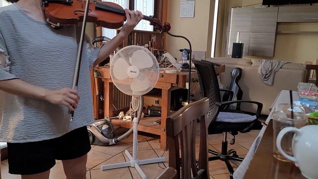 Sound test of my #3 violin cooyvof Guarneri del Gesu Kreisler смотреть онлайн
