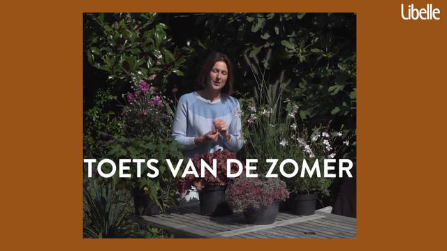 5 toppers voor je herfstterras (ism Libelle) смотреть онлайн