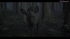 Олень зомби vs тигра не зомби