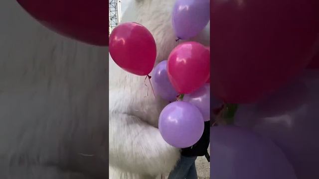 Поздравление от Мишки Пломбира в 6 утра ?? Идеальный подарок от подружек ❤️ #ростовыемишкивыкса