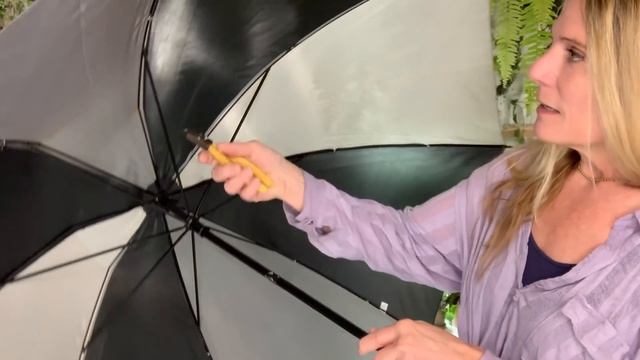 How to Stake Pothos & Other Indoor Plants! смотреть онлайн