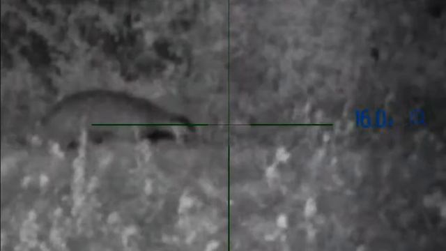 PULSAR DIGISIGHT ULTRA 455 LRF Badger смотреть онлайн