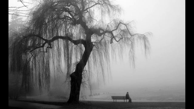 Сероглазый король смотреть онлайн