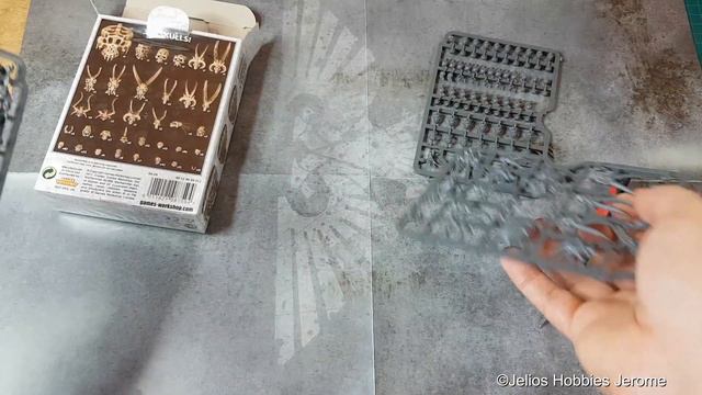 Warhammer Games Workshop Citadel Skulls Unboxing 340 Cranes !!! смотреть онлайн