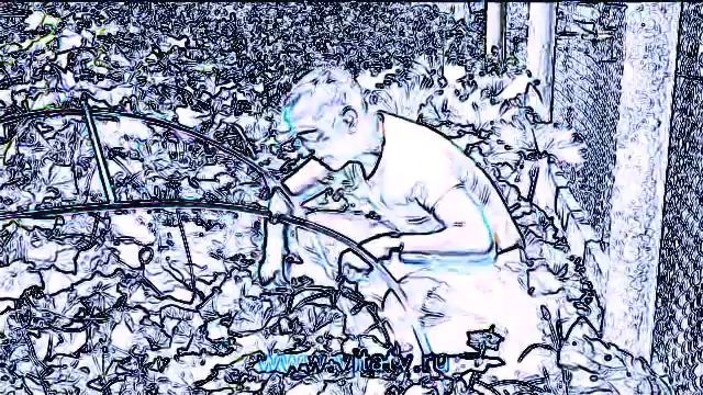 Лучшее средство от геморроя мем, но завокоден на мелодию Gangsta's Paradise